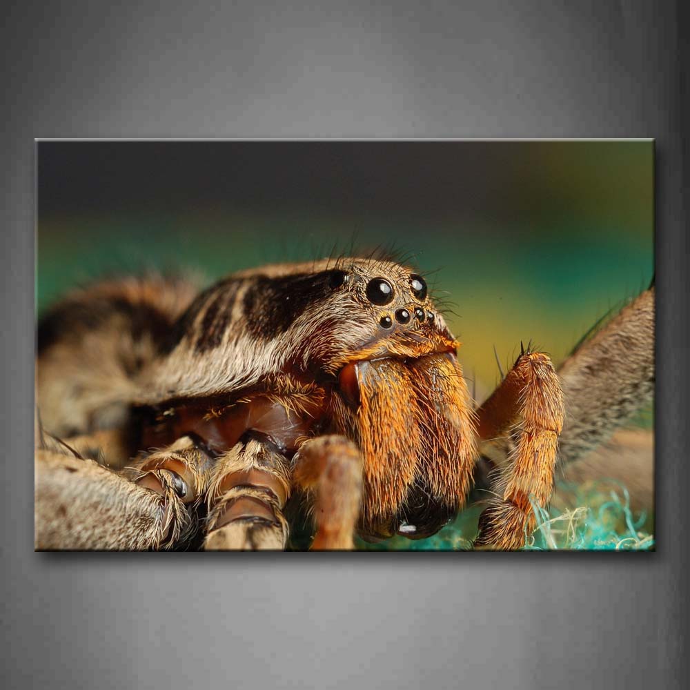 Big Yellow Spider  Wall Art Painting The Picture Print On Canvas Animal Pictures For Home Decor Decoration Gift 