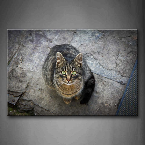 Black Cat Stand On Ground Look Up  Wall Art Painting The Picture Print On Canvas Animal Pictures For Home Decor Decoration Gift 