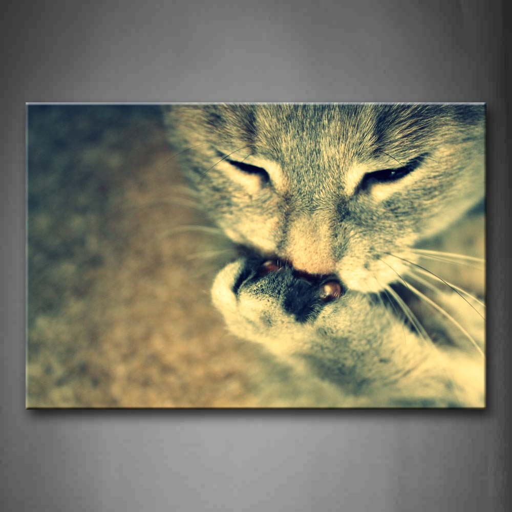 Cat Eat Food In Hand  Wall Art Painting Pictures Print On Canvas Animal The Picture For Home Modern Decoration 