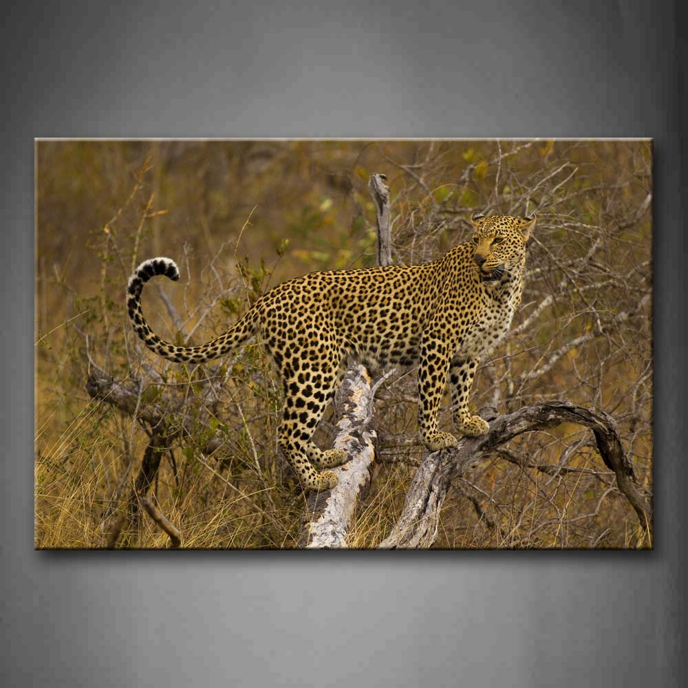 Yellow Leopard Stand On Withered Tree Wall Art Painting The Picture Print On Canvas Animal Pictures For Home Decor Decoration Gift 