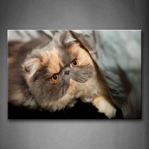 Cute Fat Cat With Yellow Eyes Wall Art Painting Pictures Print On Canvas Animal The Picture For Home Modern Decoration 