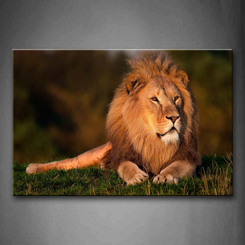 Brown Lion Lie On Grass Wall Art Painting Pictures Print On Canvas Animal The Picture For Home Modern Decoration 