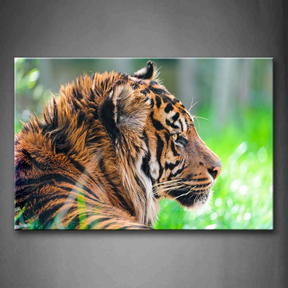 Brown Tiger Stand Among Grass  Wall Art Painting The Picture Print On Canvas Animal Pictures For Home Decor Decoration Gift 