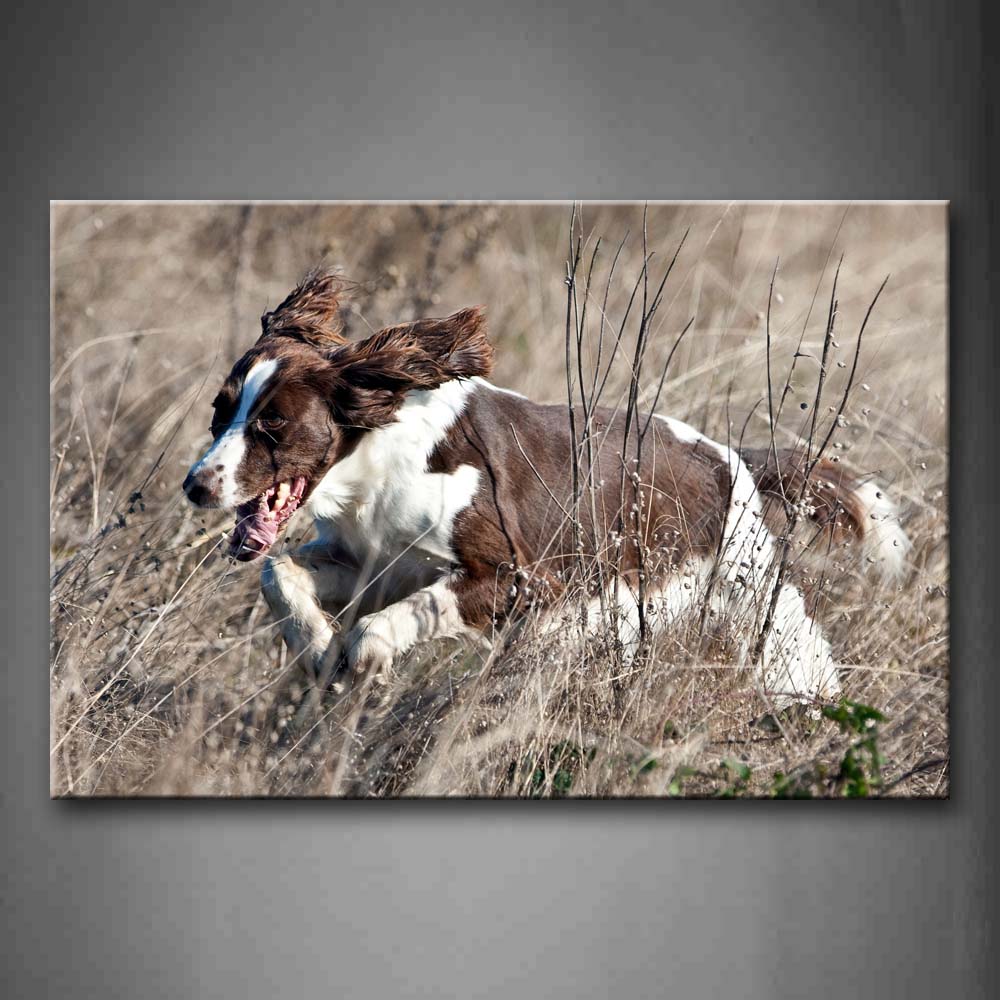 White Dog Run On Withered Grass Wall Art Painting Pictures Print On Canvas Animal The Picture For Home Modern Decoration 