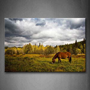 Brown Horse Eat Grass Near Tree  Wall Art Painting The Picture Print On Canvas Animal Pictures For Home Decor Decoration Gift 