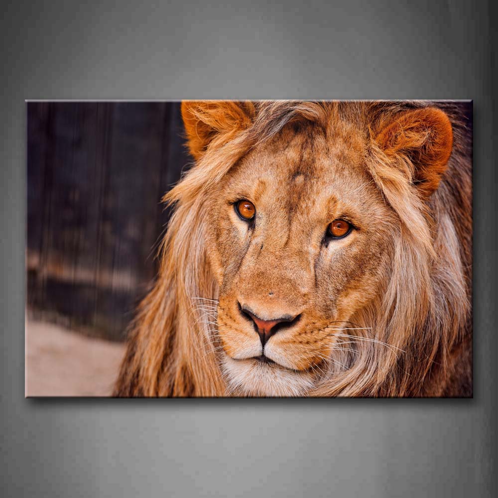 Brown Male Lion Head Portrait Wall Art Painting Pictures Print On Canvas Animal The Picture For Home Modern Decoration 