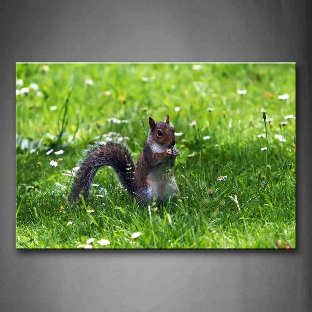 Squirrel Sit In Grass Flower Wall Art Painting The Picture Print On Canvas Animal Pictures For Home Decor Decoration Gift 