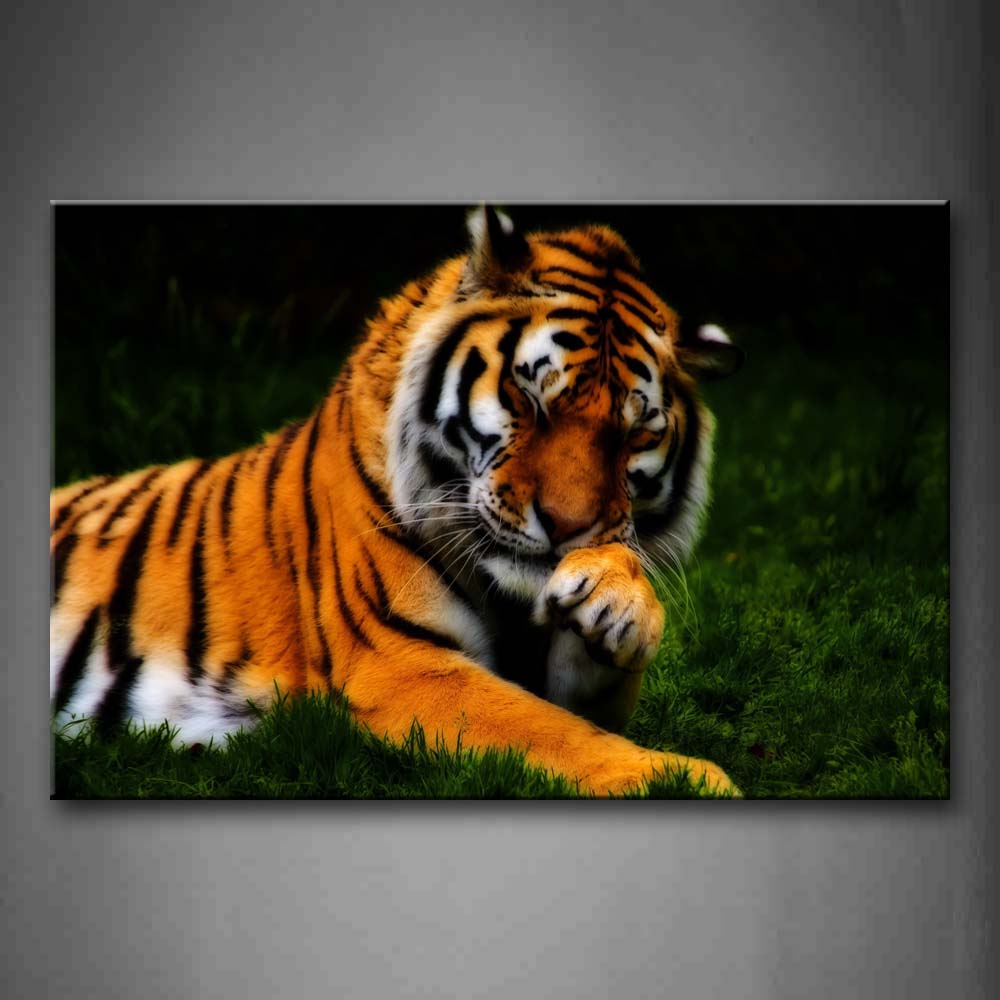 Tiger Lie On Grass  Wall Art Painting Pictures Print On Canvas Animal The Picture For Home Modern Decoration 