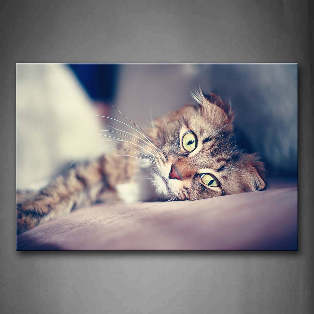 Cat Lie On Land Portrait Wall Art Painting Pictures Print On Canvas Animal The Picture For Home Modern Decoration 