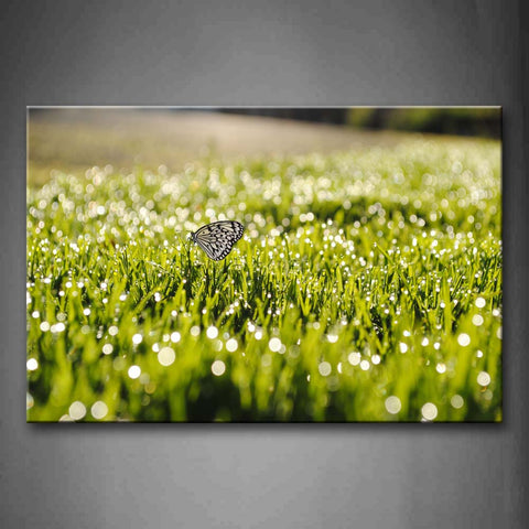 Butterfly Stop On Grass Shine Wall Art Painting The Picture Print On Canvas Animal Pictures For Home Decor Decoration Gift 