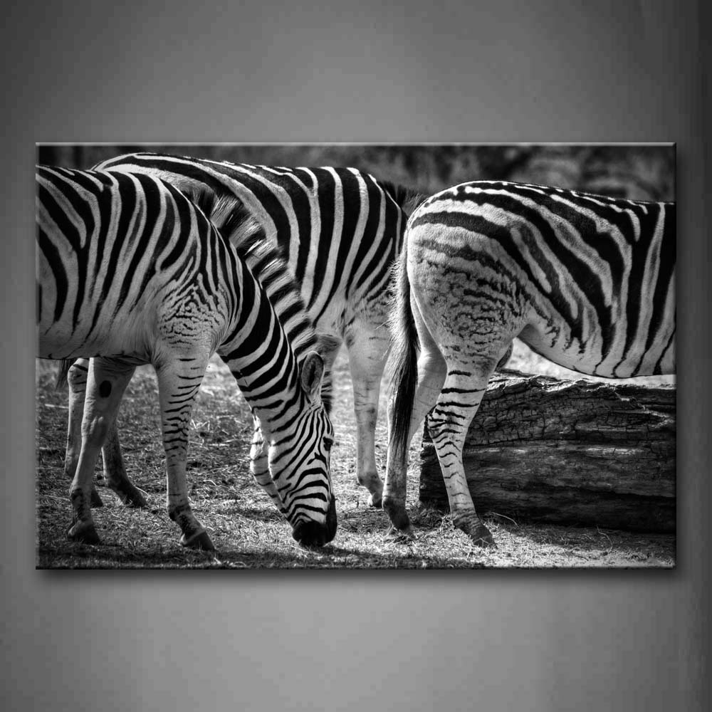 Black And White Zebras Stand On Grassland Wood Wall Art Painting Pictures Print On Canvas Animal The Picture For Home Modern Decoration 