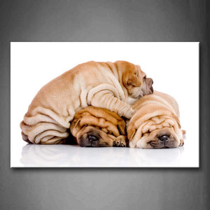 Three Shar Peis Sleep In White Background Wall Art Painting The Picture Print On Canvas Animal Pictures For Home Decor Decoration Gift 