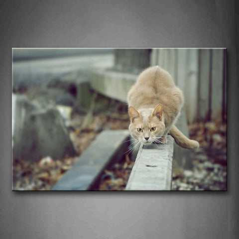 Yellow Cat Crawl On Fence Fallen Leafs Wall Art Painting Pictures Print On Canvas Animal The Picture For Home Modern Decoration 