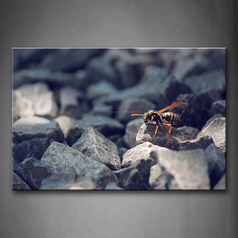 Bee Crawl On Stones Wall Art Painting Pictures Print On Canvas Animal The Picture For Home Modern Decoration 