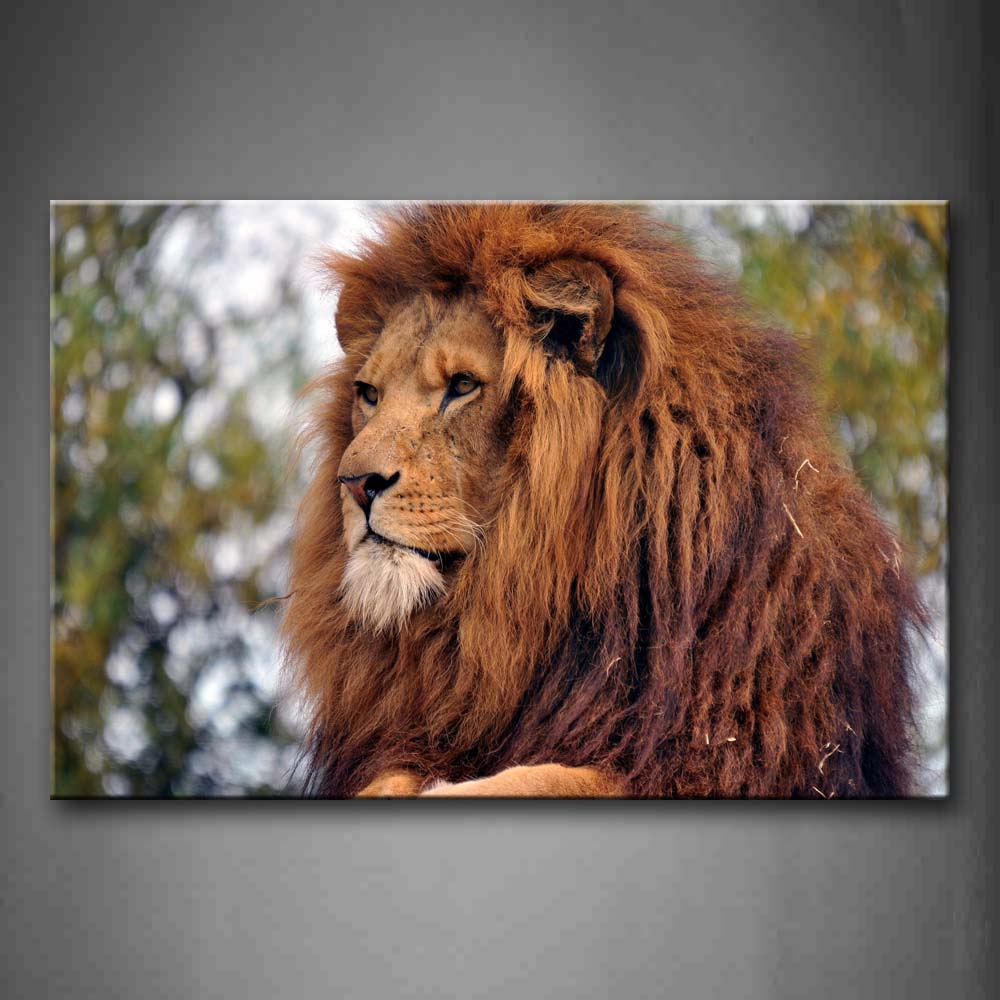 Brown Lion Staring Head In Forest Wall Art Painting The Picture Print On Canvas Animal Pictures For Home Decor Decoration Gift 