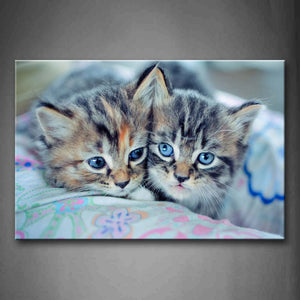 Two Cats Lie Closely On Blanket Wall Art Painting Pictures Print On Canvas Animal The Picture For Home Modern Decoration 