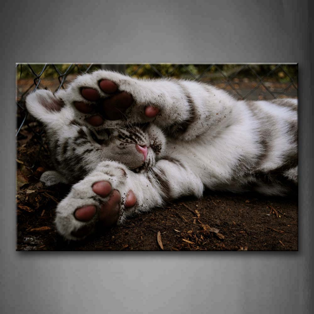 White And Black Cat Sleep On Mud Wall Art Painting The Picture Print On Canvas Animal Pictures For Home Decor Decoration Gift 