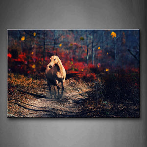 Horse Run On Path Between Plant Autumn Wall Art Painting Pictures Print On Canvas Animal The Picture For Home Modern Decoration 