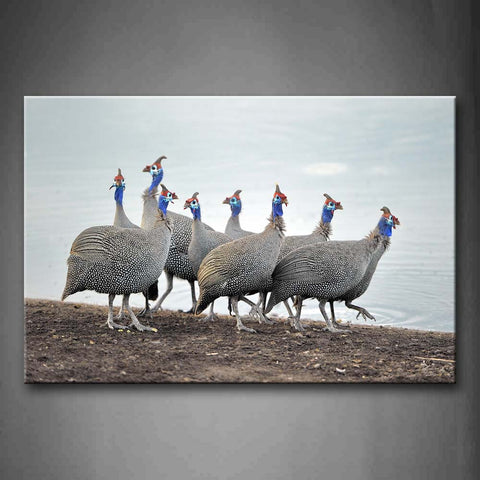 A Group Of Beautiful Birds Walk On Mud Near Lake Wall Art Painting Pictures Print On Canvas Animal The Picture For Home Modern Decoration 