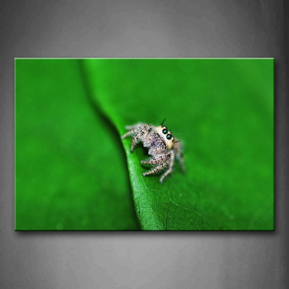 Gray Spider Crawl On Leaf Wall Art Painting The Picture Print On Canvas Animal Pictures For Home Decor Decoration Gift 