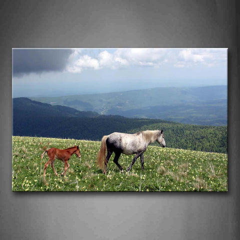 Mother Horse With Cub Walk On Grass Flower Hill Wall Art Painting Pictures Print On Canvas Animal The Picture For Home Modern Decoration 