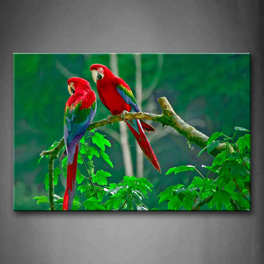 Two Macaws Stand On Branch Wall Art Painting Pictures Print On Canvas Animal The Picture For Home Modern Decoration 