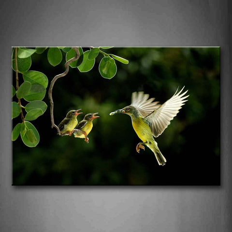 Mother Hummingbird Fly To Cubs On Branch Wall Art Painting The Picture Print On Canvas Animal Pictures For Home Decor Decoration Gift 