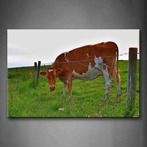 Cow Stand Near Fence On Meadow Wall Art Painting The Picture Print On Canvas Animal Pictures For Home Decor Decoration Gift 