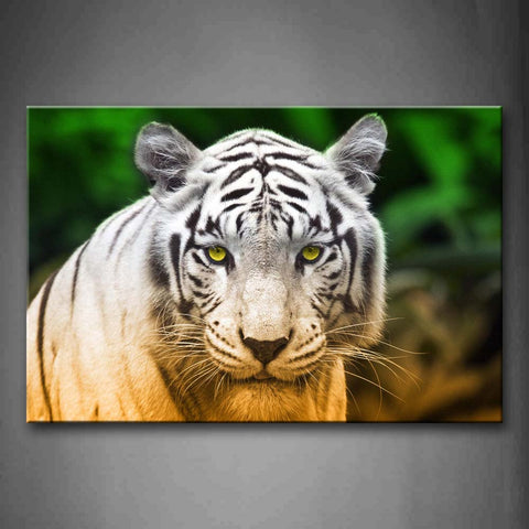 White Tiger Yellow Eyes Portrait Tree Wall Art Painting Pictures Print On Canvas Animal The Picture For Home Modern Decoration 