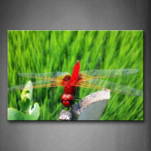 Red Dragonfly Stop On Deadman Near Grass Wall Art Painting The Picture Print On Canvas Animal Pictures For Home Decor Decoration Gift 