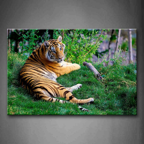 Tiger Lie On Grass Near Tree Wall Art Painting Pictures Print On Canvas Animal The Picture For Home Modern Decoration 