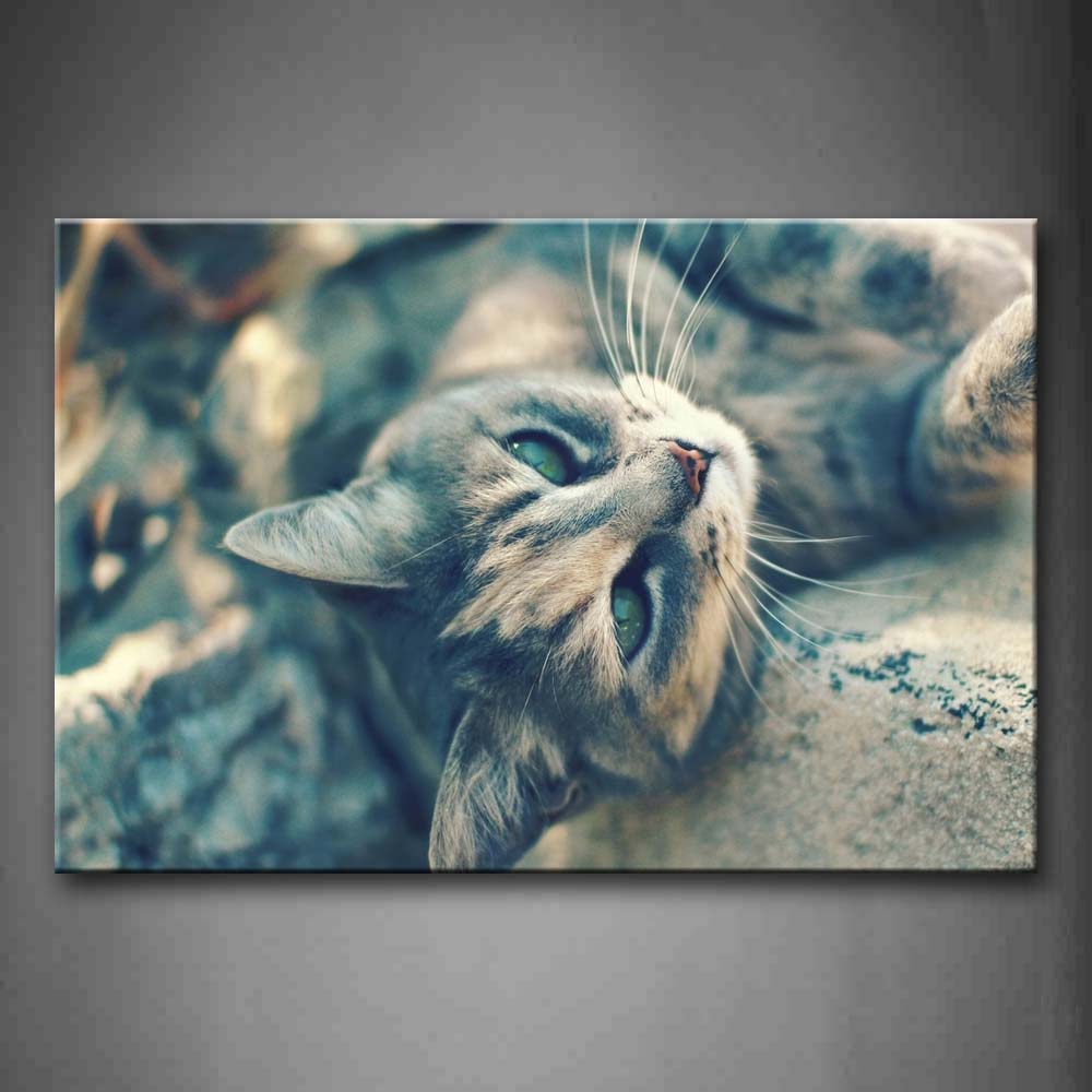 Gray Cat Lie Down On Rock Plant Wall Art Painting Pictures Print On Canvas Animal The Picture For Home Modern Decoration 