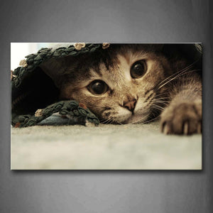 Cat Is Covered Carpet Wall Art Painting Pictures Print On Canvas Animal The Picture For Home Modern Decoration 