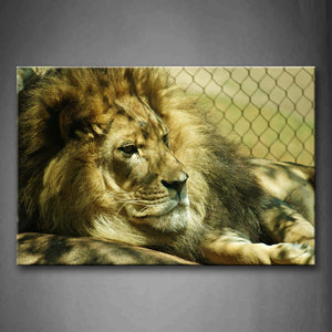 Lion Lie On Land  Wall Art Painting Pictures Print On Canvas Animal The Picture For Home Modern Decoration 