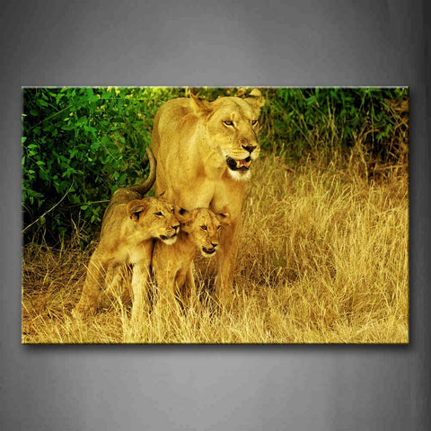 Mother Lion With Cubs Stand On Dry Grass Trees Wall Art Painting Pictures Print On Canvas Animal The Picture For Home Modern Decoration 