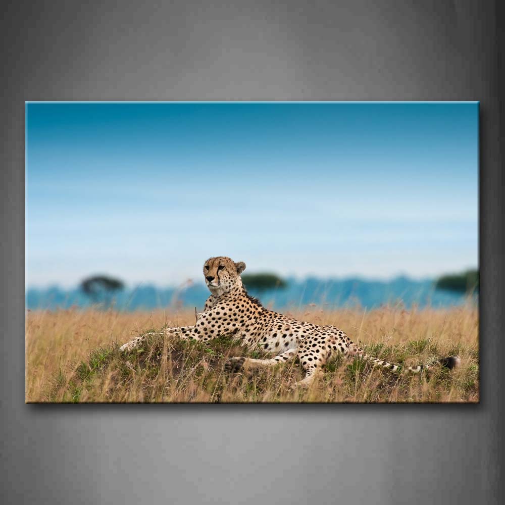 Cheetah Lie On Mound Dry Grass Wall Art Painting The Picture Print On Canvas Animal Pictures For Home Decor Decoration Gift 