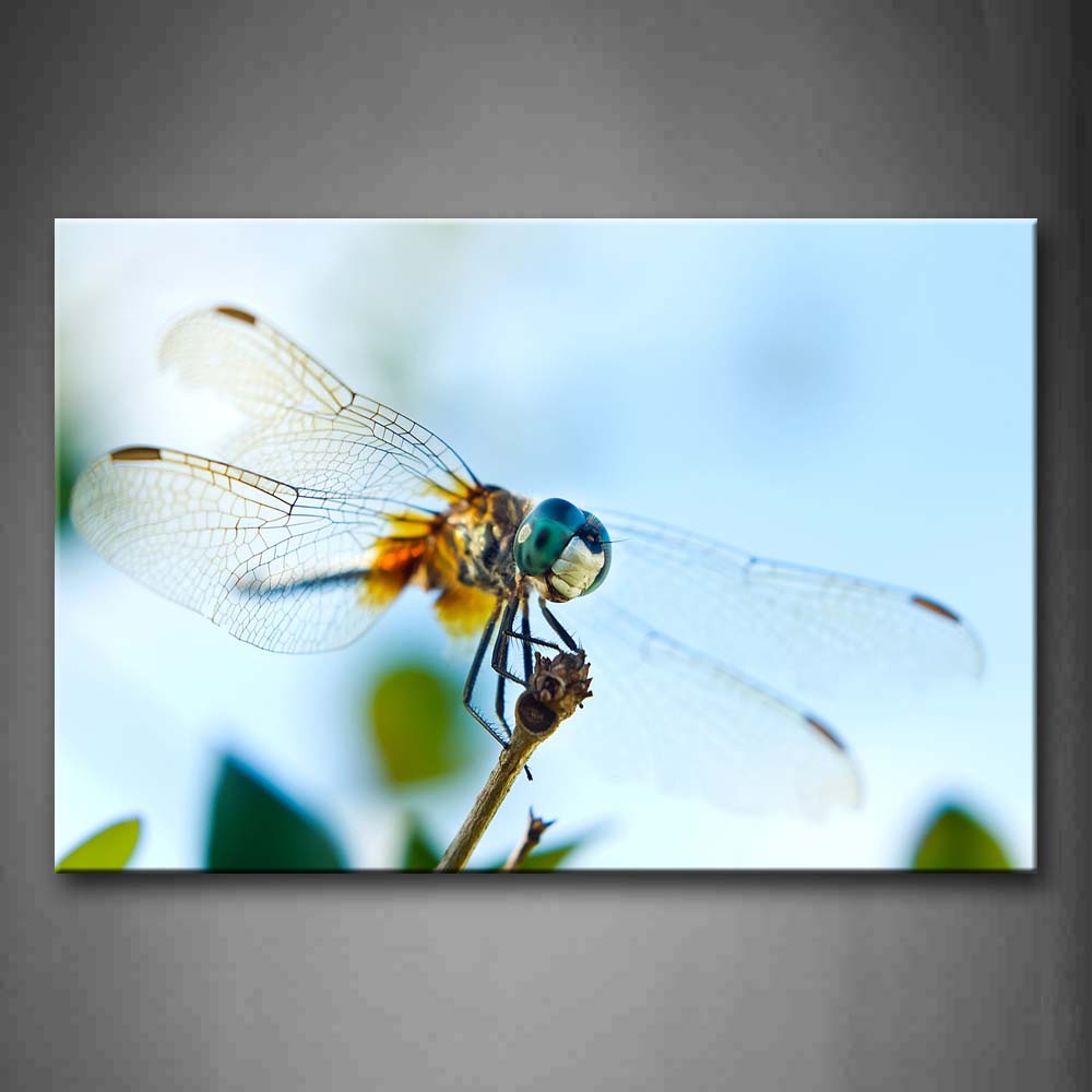 Dragonfly Stop On Dry Branch Wall Art Painting Pictures Print On Canvas Animal The Picture For Home Modern Decoration 