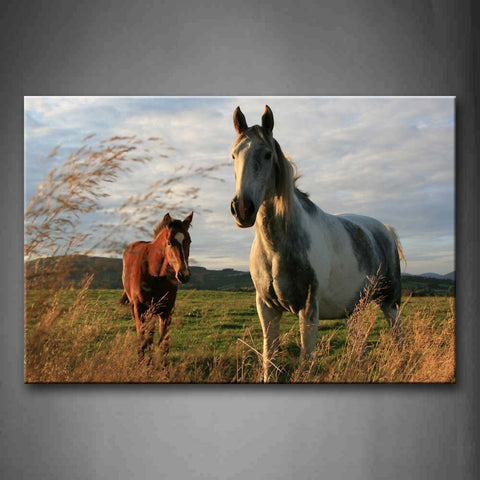 Two Horses Stand On Grassland Hill Dry Grass Wall Art Painting Pictures Print On Canvas Animal The Picture For Home Modern Decoration 