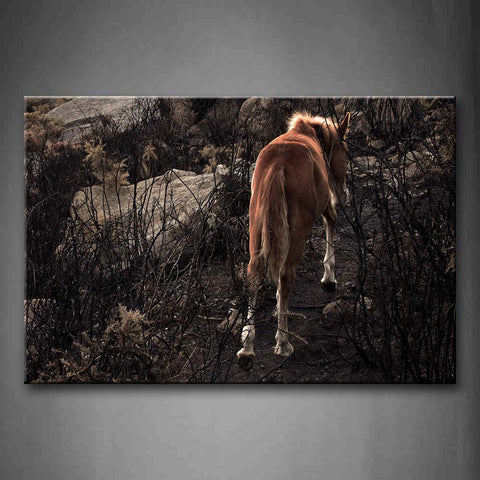 Yellow Horse Walk On Path Dry Plant Rock Wall Art Painting The Picture Print On Canvas Animal Pictures For Home Decor Decoration Gift 