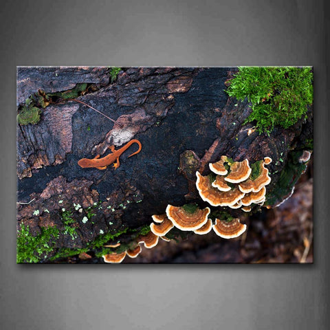 Newt Crawl On Rotten Trunk Moss Mushroom Wall Art Painting The Picture Print On Canvas Animal Pictures For Home Decor Decoration Gift 