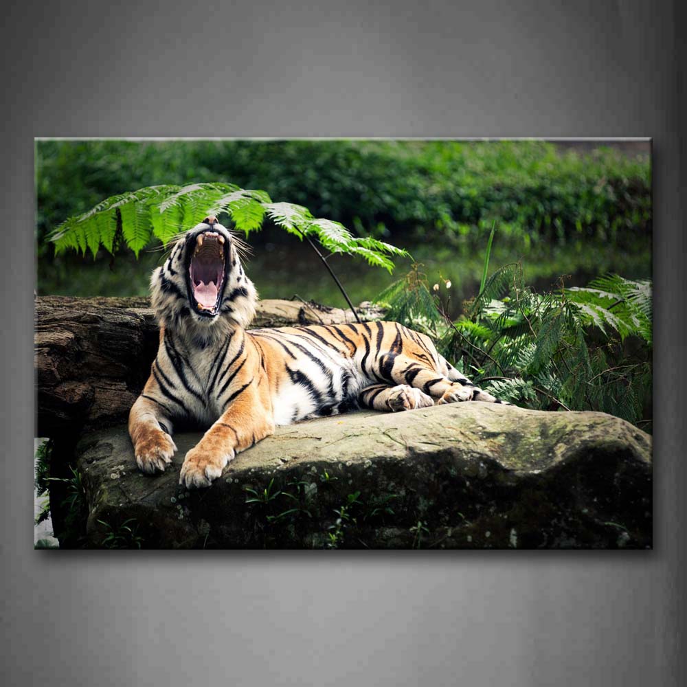 Tiger Lie On Rock And Howl Plant River Wall Art Painting Pictures Print On Canvas Animal The Picture For Home Modern Decoration 