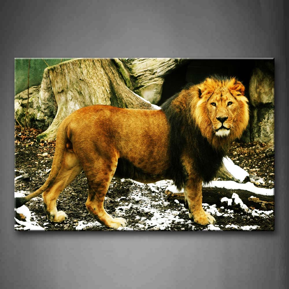 Brown Lion Stand On Mud Land Snow Trunk Wall Art Painting Pictures Print On Canvas Animal The Picture For Home Modern Decoration 