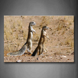 Brown Two Cape Ground Squirrels Stand Up On Mud Land Dry Grass Wall Art Painting Pictures Print On Canvas Animal The Picture For Home Modern Decoration 