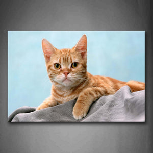 Yellow Cat Lie On Gray Cloth Wall Art Painting Pictures Print On Canvas Animal The Picture For Home Modern Decoration 