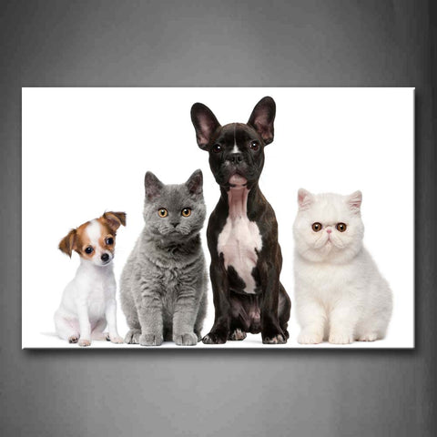 Cute Dogs And Cats Sit In White Background Wall Art Painting The Picture Print On Canvas Animal Pictures For Home Decor Decoration Gift 