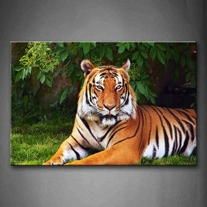 Tiger Lie On Grass Under Leafs Wall Art Painting Pictures Print On Canvas Animal The Picture For Home Modern Decoration 