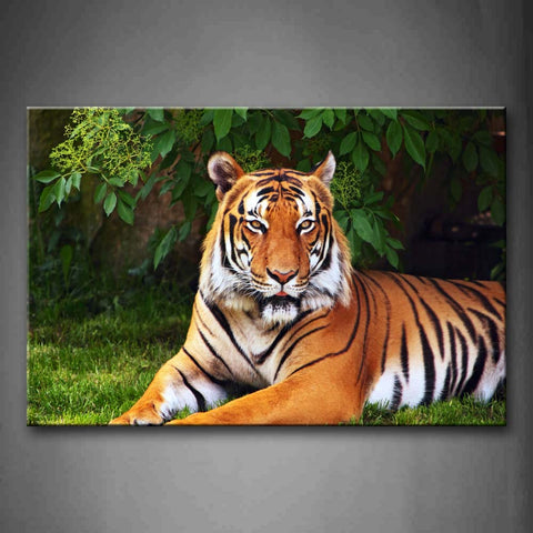 Tiger Lie On Grass Under Leafs Wall Art Painting Pictures Print On Canvas Animal The Picture For Home Modern Decoration 