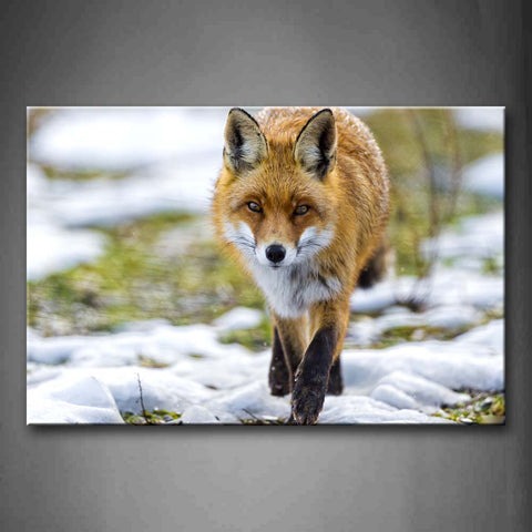 Fox Walk On Snowfield Wall Art Painting The Picture Print On Canvas Animal Pictures For Home Decor Decoration Gift 