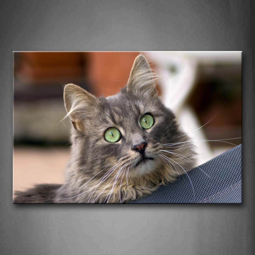 Cat Inside Room Portrait Wall Art Painting Pictures Print On Canvas Animal The Picture For Home Modern Decoration 