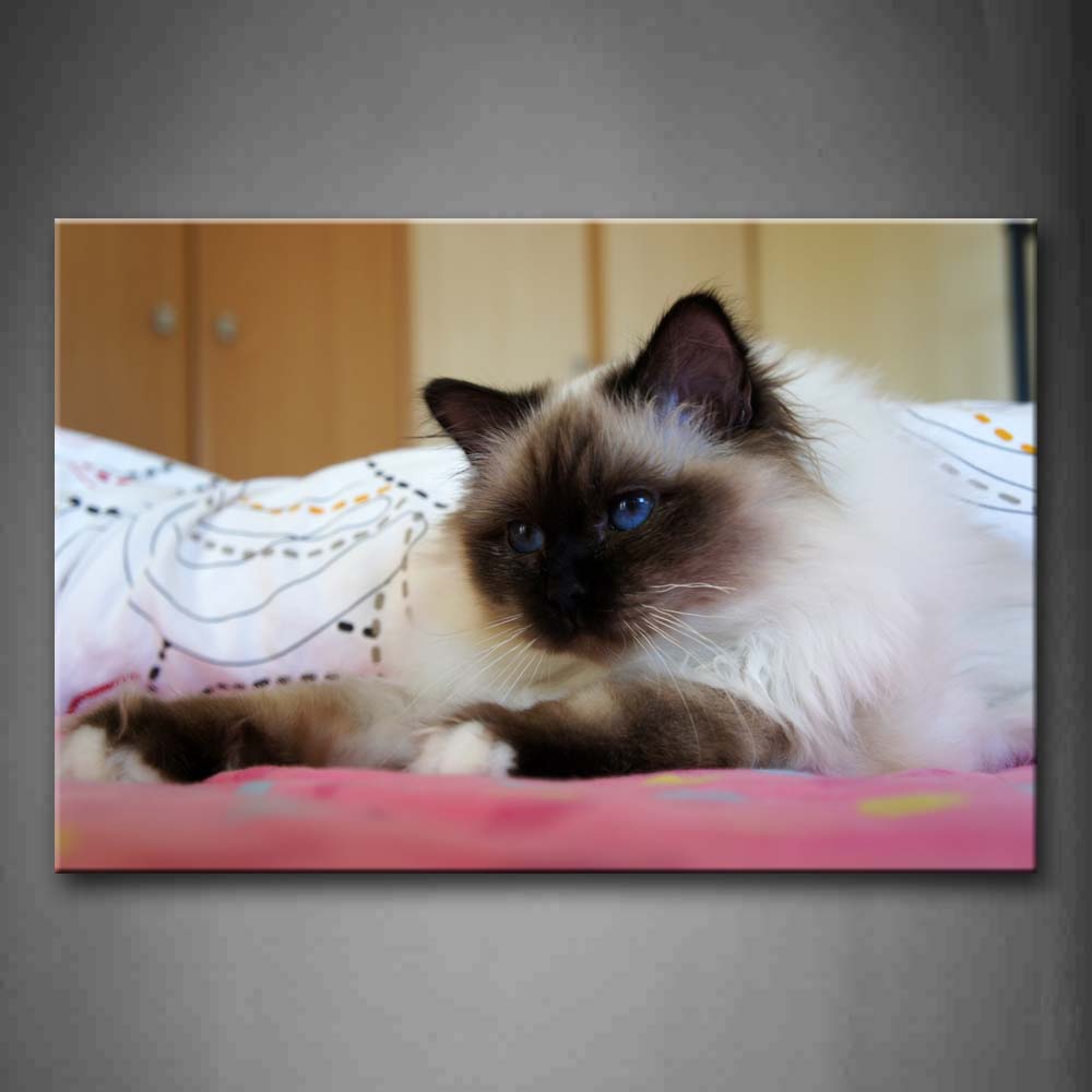 Cat Lie On Sofa  Wall Art Painting Pictures Print On Canvas Animal The Picture For Home Modern Decoration 